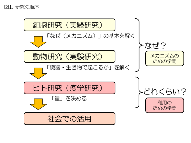 栄養疫学とは HERS M&S